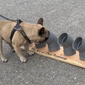 Detectie Opleiding Brons maandag 24 augustus 18.45 uur